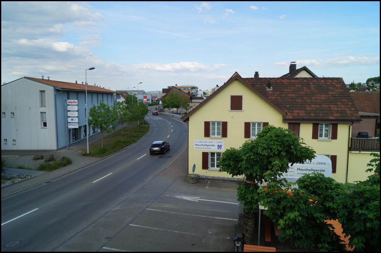 Hôtel Gasthof Kastanienbaum à Hunzenschwil Extérieur photo