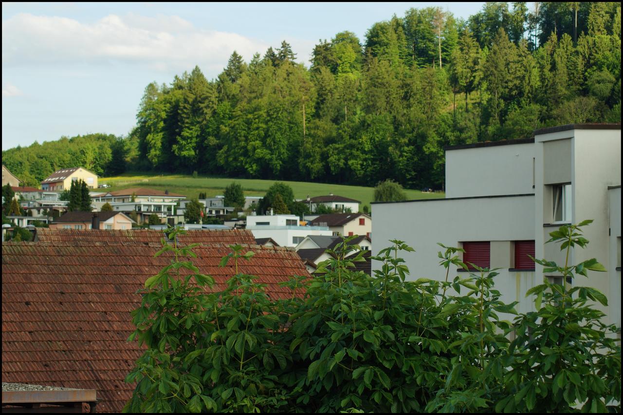 Hôtel Gasthof Kastanienbaum à Hunzenschwil Extérieur photo
